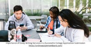 Importance-of-Essay-Writing-Services-in-a-Successful-College-Application-Submission